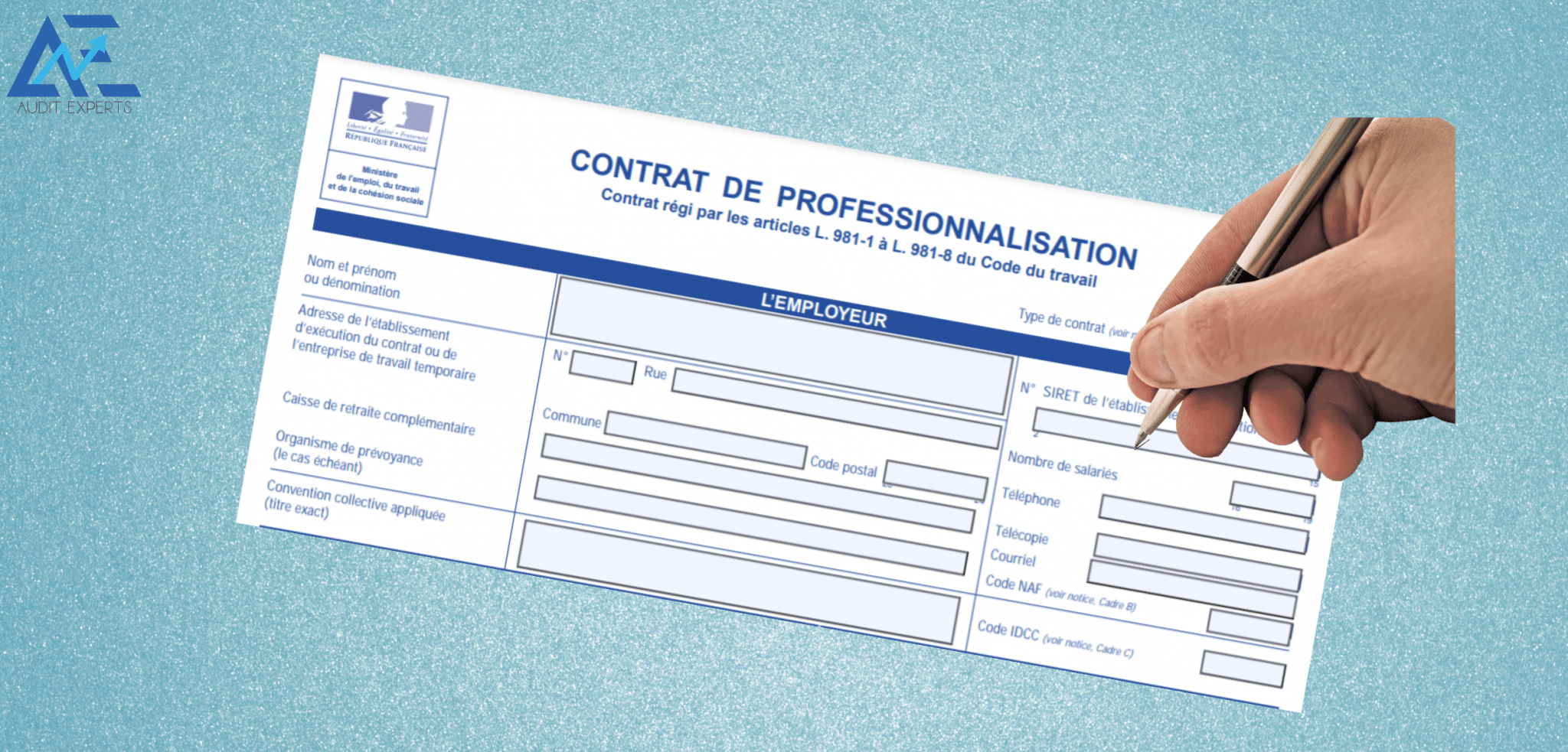 Lire la suite à propos de l’article Le contrat de professionnalisation